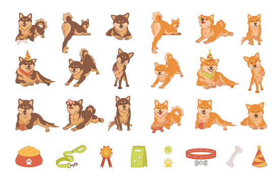Shiba inu dog collection. Dogs with different emotions.