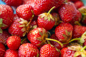 Red juicy strawberries on a plate