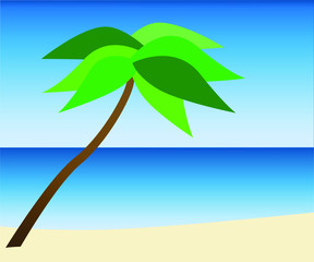 Fototapeta na wymiar Vector landscape. Sea, beach and palm trees.