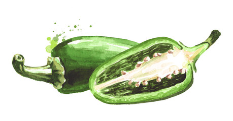 Jalapeno green hot chili pepper, whole and halved pods. Hand drawn watercolor illustration  isolated on white background - obrazy, fototapety, plakaty