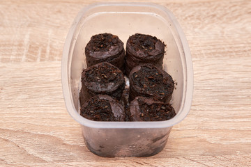 Seeds planted in a plastic box on a wooden table in the house in spring. Seeds in the ground. Seed preparation for planting. seeds of plants and flowers close up. copy space. flat lay