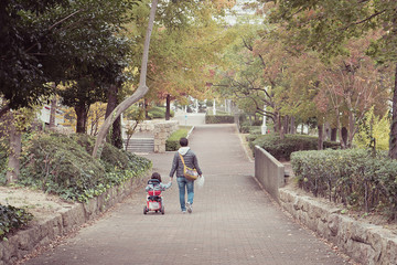 Dad walks with her daughter in the public park. Father and child are walking along the alley in the park holding hands. View from the back. Father's Day.