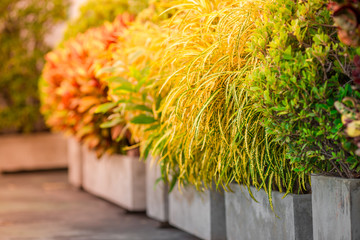 A blurry abstract view of a walkway or a treadmill on the condo and a small garden surrounded, allowing guests to exercise or view the garden in the evening