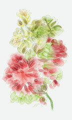  Flower watercolor painting
