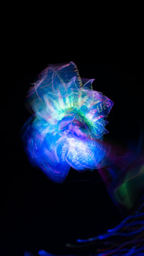 colorful abstract fractals on dark black background