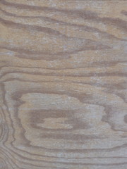 wood surface with annual rings on a saw cut