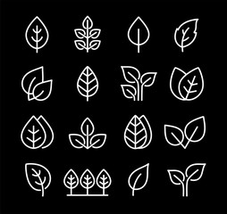 set icons of leaves, branches and trees