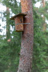 wooden birdhouse on a tree