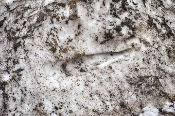 Dirty snow background