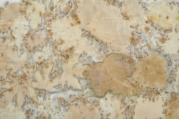 Fragment of hand-dyed fabric using eco-print technique