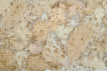 Fragment of hand-dyed fabric using eco-print technique