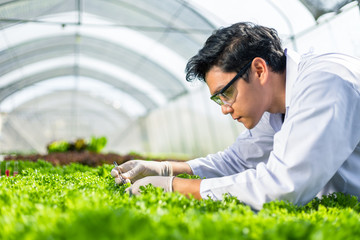 Scientists keep and test the solution, Chemical inspection, Check freshness  at organic, hydroponic farm.