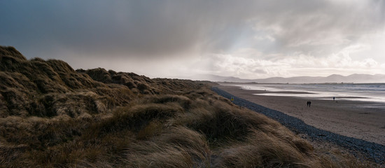 Stormy Scenic panorama view of grass blowing on sand dunes, Banna beach in county Kerry, Ireland
