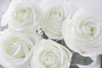 white roses