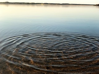 circles on the water on the lake in the sunset