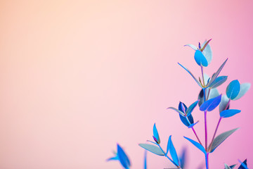 Creative neon background with foliages. Colorful abstract backdrop with vibrant gradients on petals. Exotic floral branch with pink and blue neon colors. Organic twigs with beautiful illumination