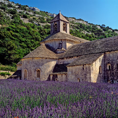 The summer lavender field at the Abbey Notre-Dame de Senanque near Gorders in Provence