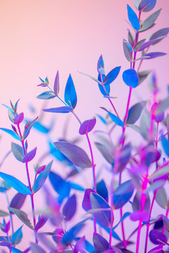 Light neon vertical background with leaves. Colorful botanical backdrop with vibrant gradients on petals. Nature branch with pink and blue vivid colors. Organic twigs with beautiful illumination