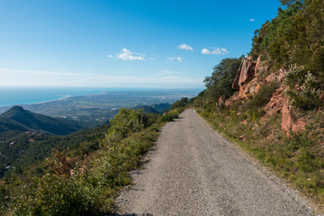 The desert of the palms in Benicassim, Costa Azahar