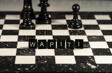 Wapiti the word or concept represented by black and white letter tiles on a marble chessboard with chess pieces