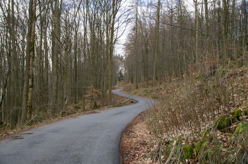 Geschlängelter weg auf einen Begr im wald 