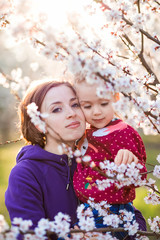 Young mother and child daughter together, hugging and laughing in a Flowering apricot garden. Family outdoors lifestyle.