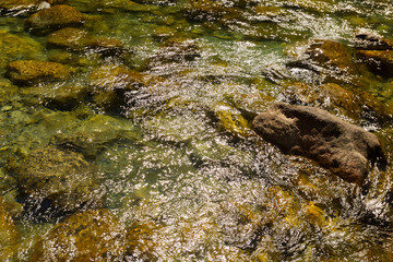 Mountain stream, Adamello-Brenta Natural Park, Italy