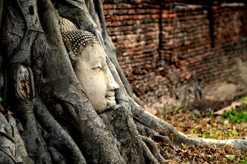 Buddha  face roots religion Ayutthaya travel history world heritage,Head Buddha in the tree root The major tourist attractions of Phra Nakhon Si Ayutthaya 