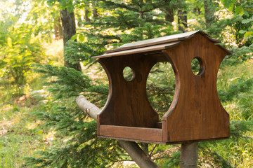 Naklejka premium original wooden bird feeder in the summer forest