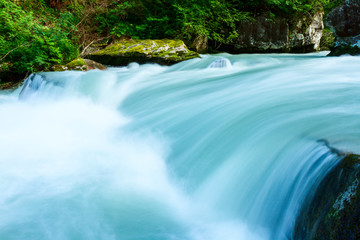 River flowing in the forest in the Adamello Brenta natural park