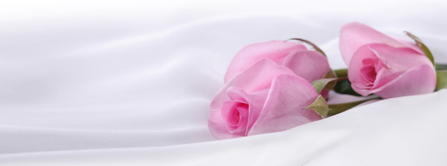 Pink rose bouquet flower on silk.  Nature horizontal background.
