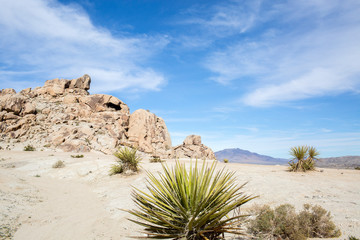 Cougar Butte