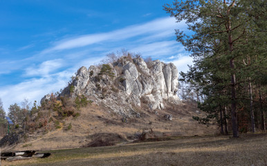 Głęboka Cave (Maszycka Cave) - a cave in the Będkowska Valley in the Olkusz Upland