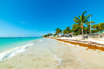 Turquoise sea in Raisins Clairs beach in Guadeloupe