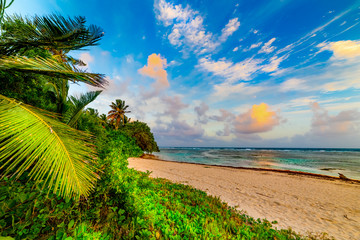Colorful sunset in Bois Jolan beach in Guadeloupe