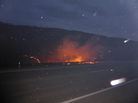 Forest Fire On A Hillside