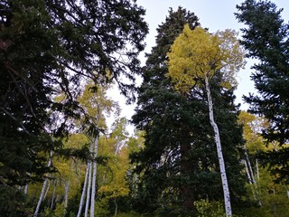 Mountain Valley Fall Foliage