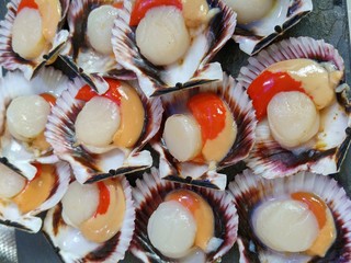 Frische Jakobsmuscheln in der Markthalle von Santiago de Compostela