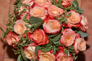 red roses in dew after rain