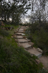 Walking trail in Saguaro National Park