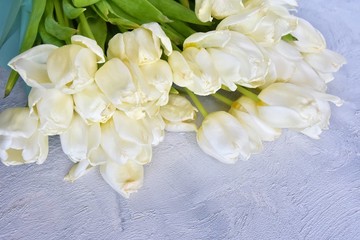 Fototapeta na wymiar Beautiful bouquet of wilted white tulips with tender petals, soft focus. Withered tulips with dried petals. Dead bunch of white flowers. Faded tulip with selective focus on neutral background. 