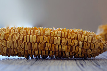 Dried corn on a blue wooden board,agriculture product