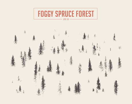 Spruce forest in the fog Hand drawn vector sketch