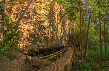 Beautiful green nature landscape of Europe