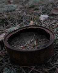 Old canned food on the ground in the forest