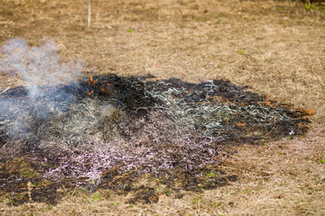 Bonfire smoke and gray ashes burning bonfire and dry grass in green garden in springtime concept of seasonal work in the garden.