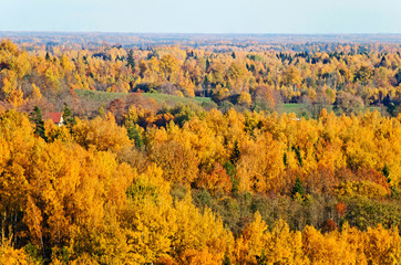 Beautiful green nature landscape of Europe