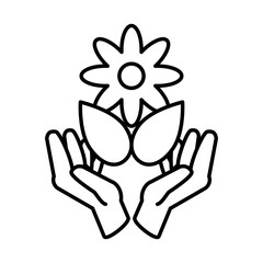 hands holding an flower with leaf on white background