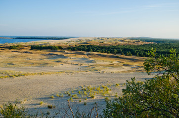 Beautiful green nature landscape of Europe