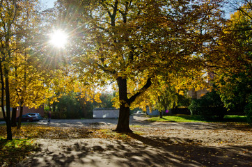 Beautiful green nature landscape of Europe